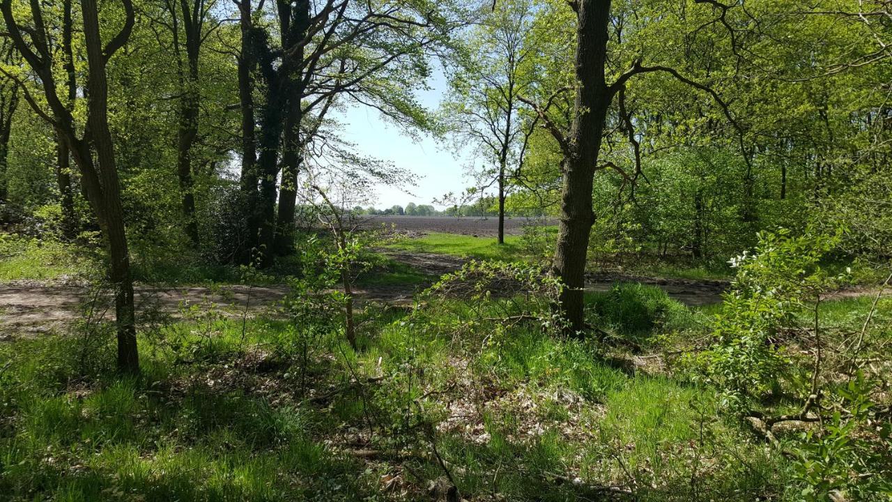 Chalet Drenthe Villa Schoonloo Екстериор снимка