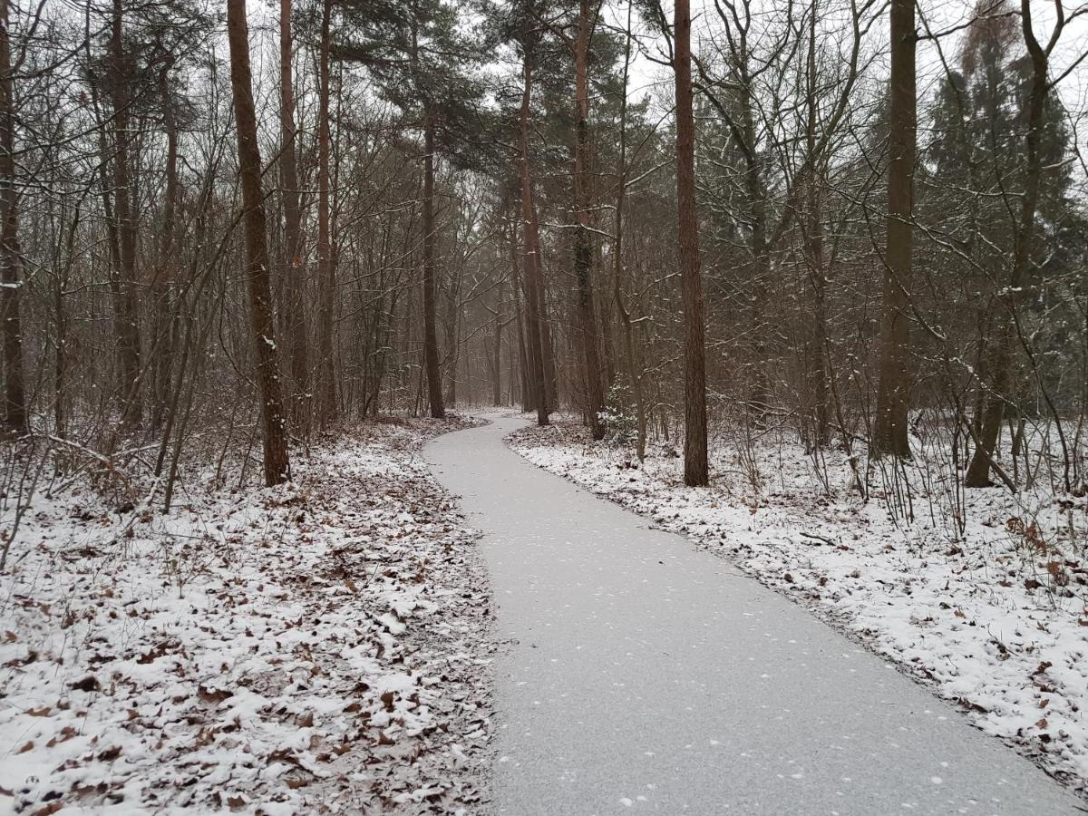 Chalet Drenthe Villa Schoonloo Екстериор снимка